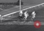 Image Nashua horse Hialeah Florida USA, 1956, de la seconde 44 séquences d'archives historiques vidéo 65675035438