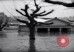 Image of Rhine river Germany, 1958, second 20 stock footage video 65675035443