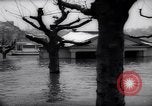 Image of Rhine river Germany, 1958, second 21 stock footage video 65675035443