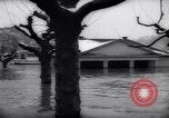 Image of Rhine river Germany, 1958, second 22 stock footage video 65675035443