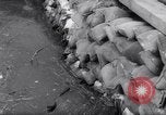 Image of Rhine river Germany, 1958, second 34 stock footage video 65675035443