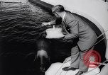 Standbild Wal Kuppel Palos Verdes California USA, 1958, aus Sekunde 15 historischem Filmmaterial Videoclip 65675035447