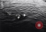 Standbild Wal Kuppel Palos Verdes California USA, 1958, aus Sekunde 23 historischem Filmmaterial Videoclip 65675035447