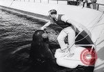 Standbild Wal Kuppel Palos Verdes California USA, 1958, aus Sekunde 34 historischem Filmmaterial Videoclip 65675035447