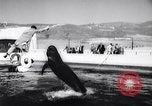 Standbild Wal Kuppel Palos Verdes California USA, 1958, aus Sekunde 40 historischem Filmmaterial Videoclip 65675035447