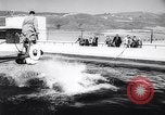 Standbild Wal Kuppel Palos Verdes California USA, 1958, aus Sekunde 41 historischem Filmmaterial Videoclip 65675035447