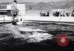 Standbild Wal Kuppel Palos Verdes California USA, 1958, aus Sekunde 49 historischem Filmmaterial Videoclip 65675035447