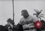 Standbild Big League Baseball Teams Florida United States USA, 1958, aus Sekunde 35 historischem Filmmaterial Videoclip 65675035448