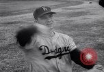 Standbild Big League Baseball Teams Florida United States USA, 1958, aus Sekunde 58 historischem Filmmaterial Videoclip 65675035448