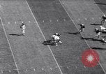Immagine di Football americano Champaign Illinois USA, 1963, secondo 32 filmato di repertorio 65675035456