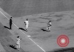 Immagine di World Series NY Yankees vs St Louis Cardinals New York City United States USA, 1964, secondo 61 filmato di repertorio 65675035458