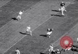 Standbild American Football United States USA, 1964, aus Sekunde 27 historischem Filmmaterial Videoclip 65675035460