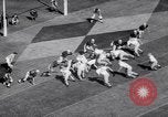 Standbild American Football United States USA, 1964, aus Sekunde 59 historischem Filmmaterial Videoclip 65675035460
