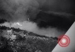 Image Incendie de forêt dans la forêt nationale de Los Padres California United States USA, 1964, de la seconde 10 séquences d'archives historiques vidéo 65675035461