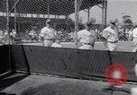 Immagine di Phillies Philadelphia e New York Yankees spring training United States USA, 1951, secondo 37 filmato di repertorio 65675035471
