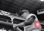 Image of New York Yankees vs Brooklyn Dodgers Brooklyn New York City USA, 1952, second 29 stock footage video 65675035476