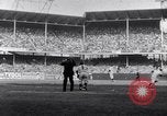 Image of New York Yankees vs Brooklyn Dodgers Brooklyn New York City USA, 1952, second 33 stock footage video 65675035476