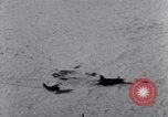 Immagine di Il popolo britannico La Groenlandia, 1952, secondo 59 filmato di repertorio 65675035478