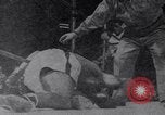 Image of Rocky Marciano boxer Philadelphia Pennsylvania USA, 1952, second 18 stock footage video 65675035483