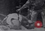 Image of Rocky Marciano boxer Philadelphia Pennsylvania USA, 1952, second 19 stock footage video 65675035483