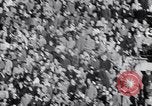 Standbild Michigan State Football im Jahr 1952 United States USA, 1952, aus Sekunde 26 historischem Filmmaterial Videoclip 65675035485