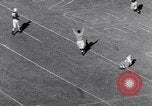 Image of Orange Bowl football game Miami Florida USA, 1953, second 38 stock footage video 65675035490