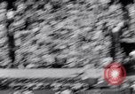 Image of Orange Bowl football game Miami Florida USA, 1953, second 50 stock footage video 65675035490