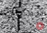 Image of Orange Bowl football game Miami Florida USA, 1953, second 51 stock footage video 65675035490