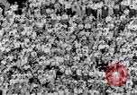 Standbild American Football United States USA, 1953, aus Sekunde 43 historischem Filmmaterial Videoclip 65675035501