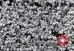 Standbild American Football United States USA, 1953, aus Sekunde 44 historischem Filmmaterial Videoclip 65675035501