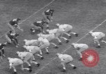 Standbild American Football United States USA, 1953, aus Sekunde 49 historischem Filmmaterial Videoclip 65675035501