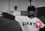 Image of New York Giants Baseball Team in Spring Training Phoenix Arizona USA, 1956, second 22 stock footage video 65675035516