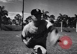 Image of Brooklyn Dodgers in Spring training Vero Beach Florida USA, 1956, second 19 stock footage video 65675035517