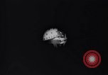 Image of ship Panama Canal, 1919, second 31 stock footage video 65675035518