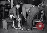 Image of World War 1 soldiers with prosthetic limbs Fort Sheridan Illinois USA, 1919, second 45 stock footage video 65675035522