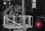 Image of fine motor occupational therapy for injured soldiers Fort Sheridan Illinois USA, 1919, second 54 stock footage video 65675035524