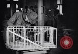 Image of fine motor occupational therapy for injured soldiers Fort Sheridan Illinois USA, 1919, second 57 stock footage video 65675035524