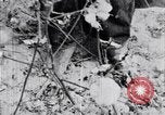 Standbild Negro Mieter United States USA, 1942, aus Sekunde 48 historischem Filmmaterial Videoclip 65675035532