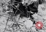 Standbild Negro Mieter United States USA, 1942, aus Sekunde 49 historischem Filmmaterial Videoclip 65675035532