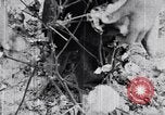 Standbild Negro Mieter United States USA, 1942, aus Sekunde 51 historischem Filmmaterial Videoclip 65675035532