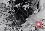 Standbild Negro Mieter United States USA, 1942, aus Sekunde 52 historischem Filmmaterial Videoclip 65675035532