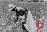 Standbild Negro Mieter United States USA, 1942, aus Sekunde 53 historischem Filmmaterial Videoclip 65675035532