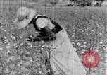 Standbild Negro Mieter United States USA, 1942, aus Sekunde 54 historischem Filmmaterial Videoclip 65675035532