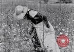 Standbild Negro Mieter United States USA, 1942, aus Sekunde 56 historischem Filmmaterial Videoclip 65675035532