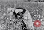 Standbild Negro Mieter United States USA, 1942, aus Sekunde 57 historischem Filmmaterial Videoclip 65675035532