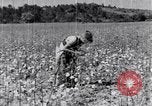 Standbild Negro Mieter United States USA, 1942, aus Sekunde 58 historischem Filmmaterial Videoclip 65675035532