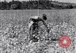 Standbild Negro Mieter United States USA, 1942, aus Sekunde 59 historischem Filmmaterial Videoclip 65675035532
