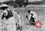 Standbild Negro Mieter United States USA, 1942, aus Sekunde 61 historischem Filmmaterial Videoclip 65675035532