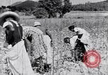 Standbild Negro Mieter United States USA, 1942, aus Sekunde 62 historischem Filmmaterial Videoclip 65675035532