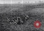 Image of American World War 1 soldiers and industry United States USA, 1918, second 55 stock footage video 65675035536
